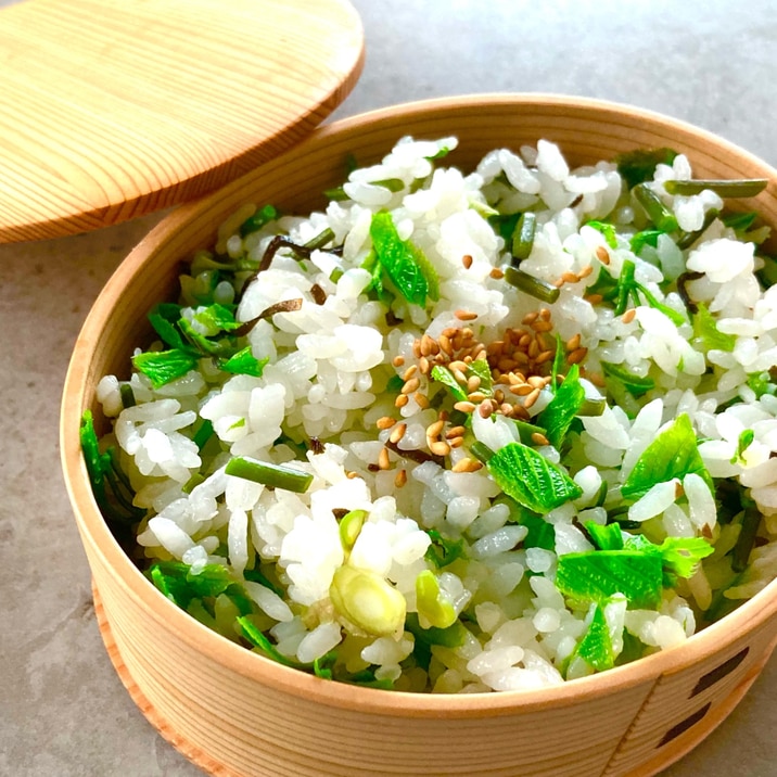 山菜の女王 コシアブラご飯